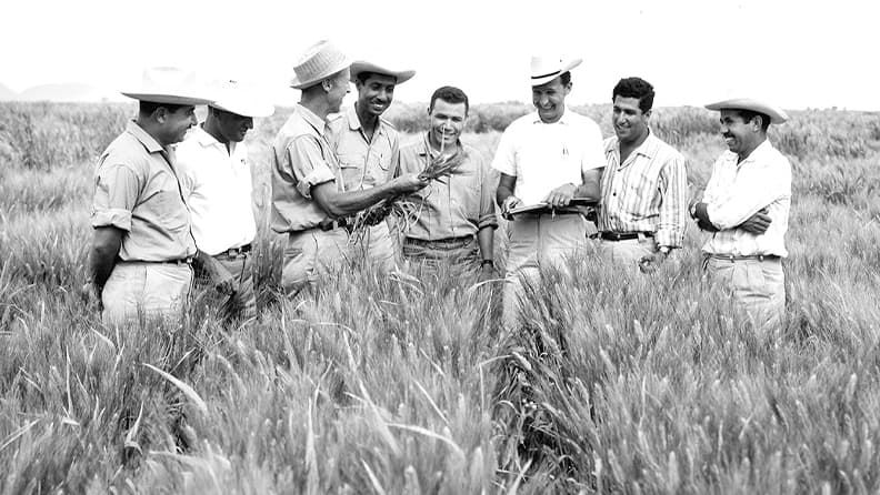 Borlaug en México