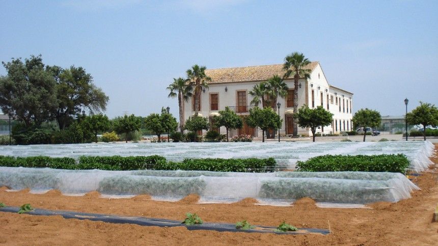Casa blanca con techos color terracota, rodeada de cultivos en vivero.