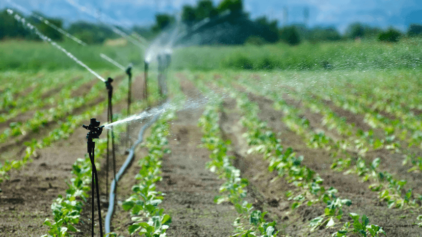 Observatorio de la Digitalización. Manejo eficiente del agua Campo regado con sistema de riego por aspersión.