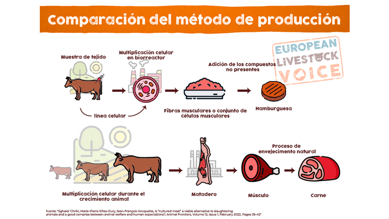 Método de Producción de la Carne Cultivada