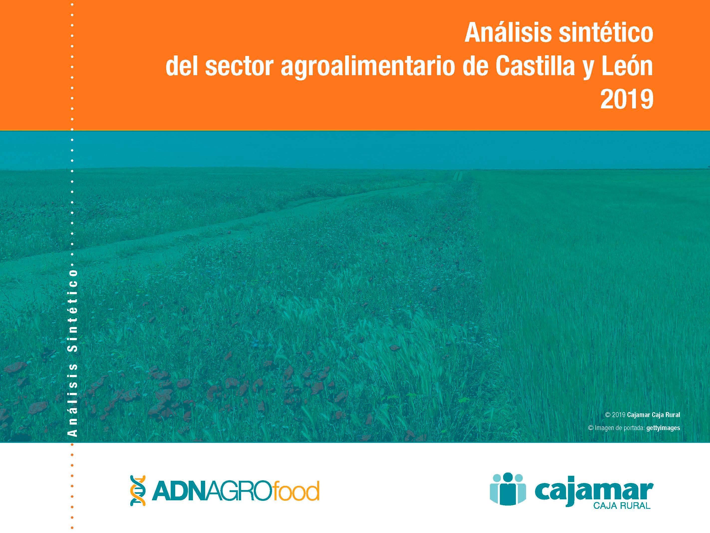 Foto del análisis sintético del sector agroalimentario de Castilla y León 2019
