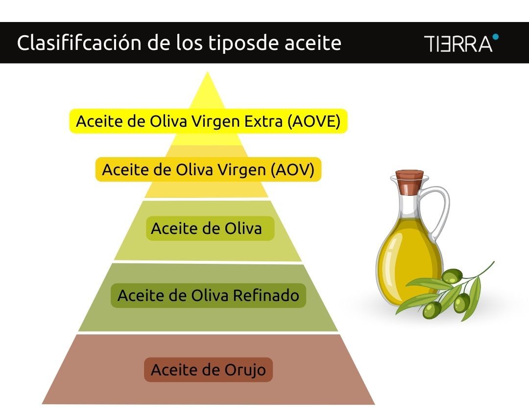 Clasificación de los tipos de aceite de oliva