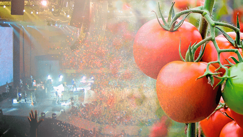 regando tomates mientras se disfruta de un concierto de Coldplay