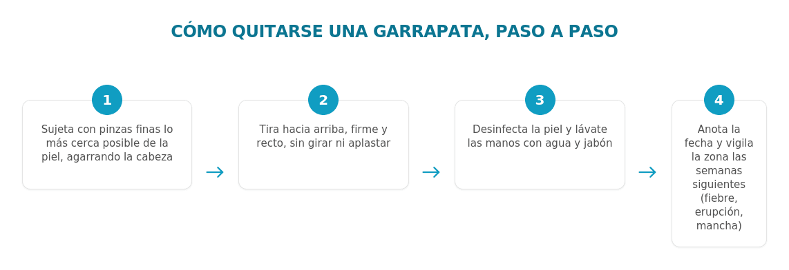 Como quitarse garrapata pt