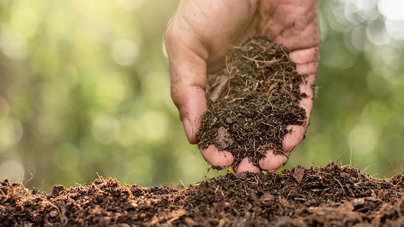 Mano depositando compost en un terreno