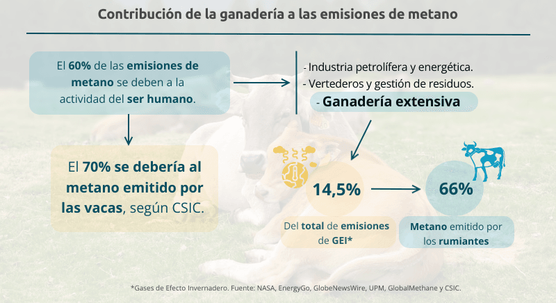 Contribución de la ganadería a las emisiones de metano