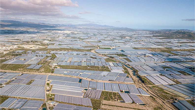 Mar de Plástico Almería - Contribuciones económicas, sociales y medioambientales de la agricultura en Almería