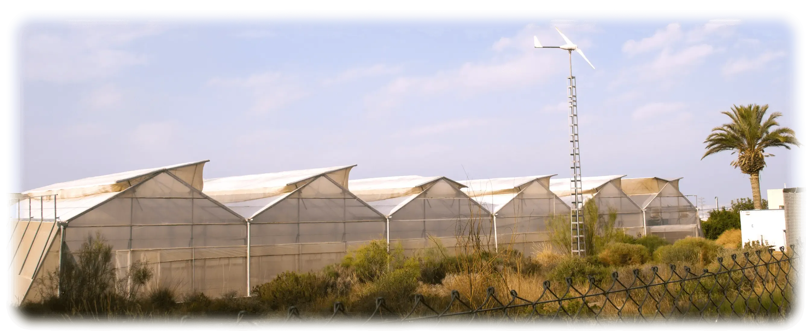 convocatoria proyectos innovación Plataforma Tierra