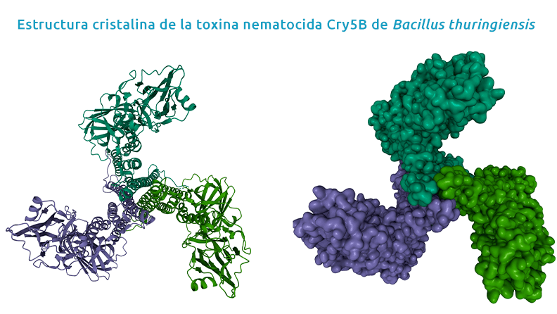 Cristales de Bt