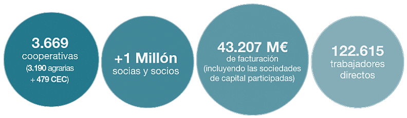 Grandes Cifras Cooperativismo Agro en España