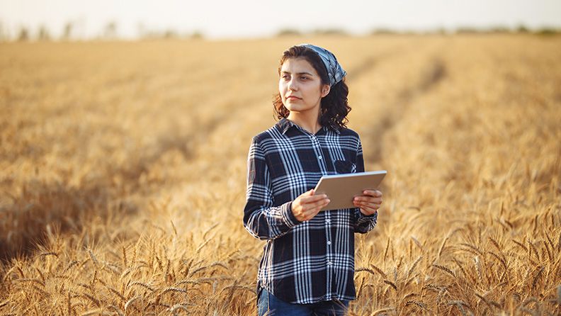 Mujer con tablet en un campo de trigo