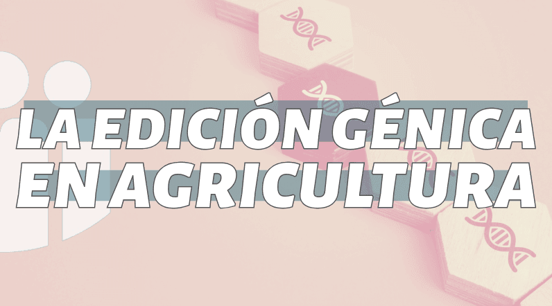 La edición génica en agricultura.