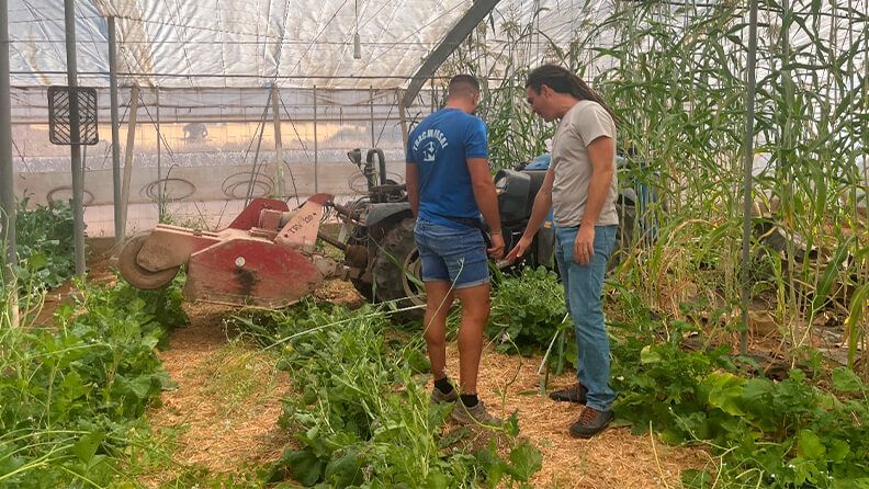 Figura 6. Taller práctico de picado y enterrado de cultivos biocidas en suelo de invernadero, IFAPA-La Mojonera, verano de 2024. Explicación impartida por el Dr. J.I. Marín-Guirao.