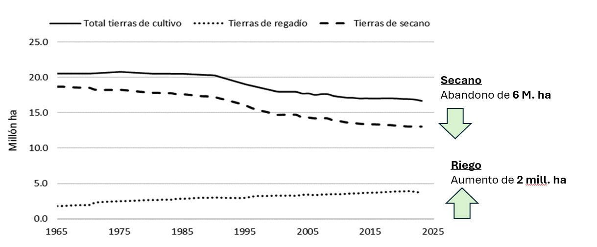 Evolución superficie cultivada total, secano y riego en España (1965-2024)