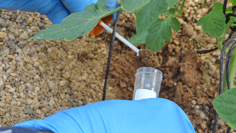 El agua de riego debe ser analizada para conocer su contenido en unidades fertilizantes.