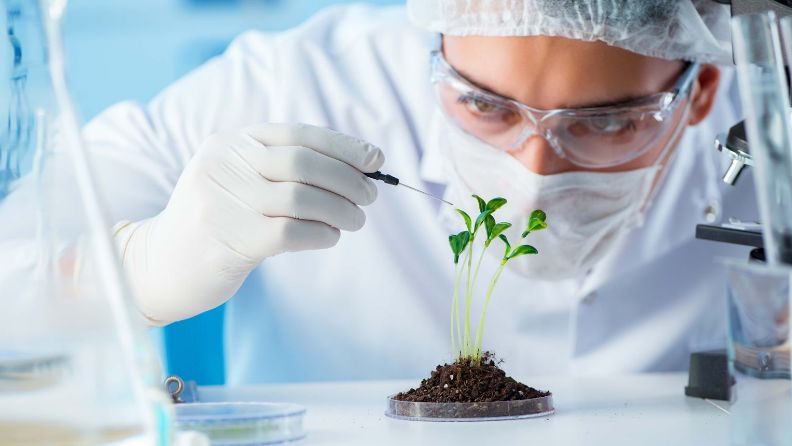 Científico aplicando técnicas de biotecnología en un laboratorio