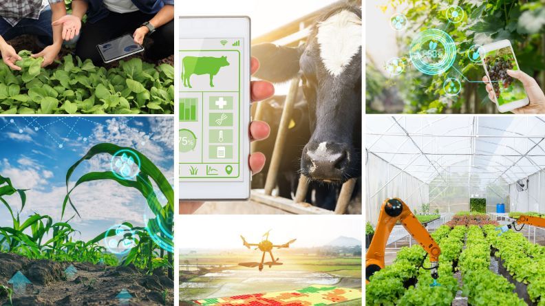 Composición de la digitalización en el sector agroalimentario