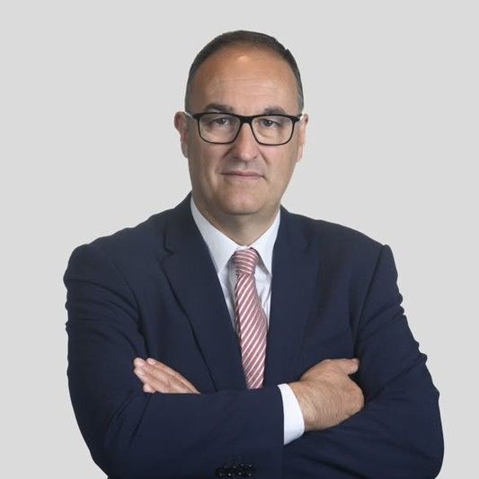 Francisco Bordils Rovira autor