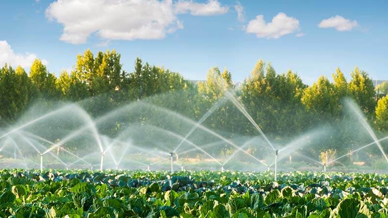 Siatema de regadío activado en un cultivo