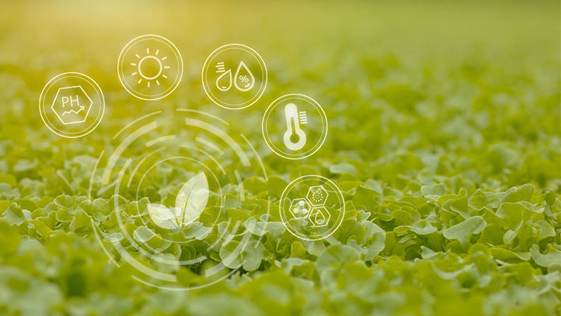 Infografía sobre agricultura inteligente para personalizar riego y fertilización de cultivos