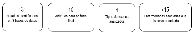 Resumen de estudios, artículos, tóxicos y enfermedades analizadas en un estudio.