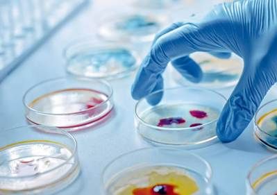Ilustración 7. Aplicación de la microbiología en el diagnóstico del suelo.