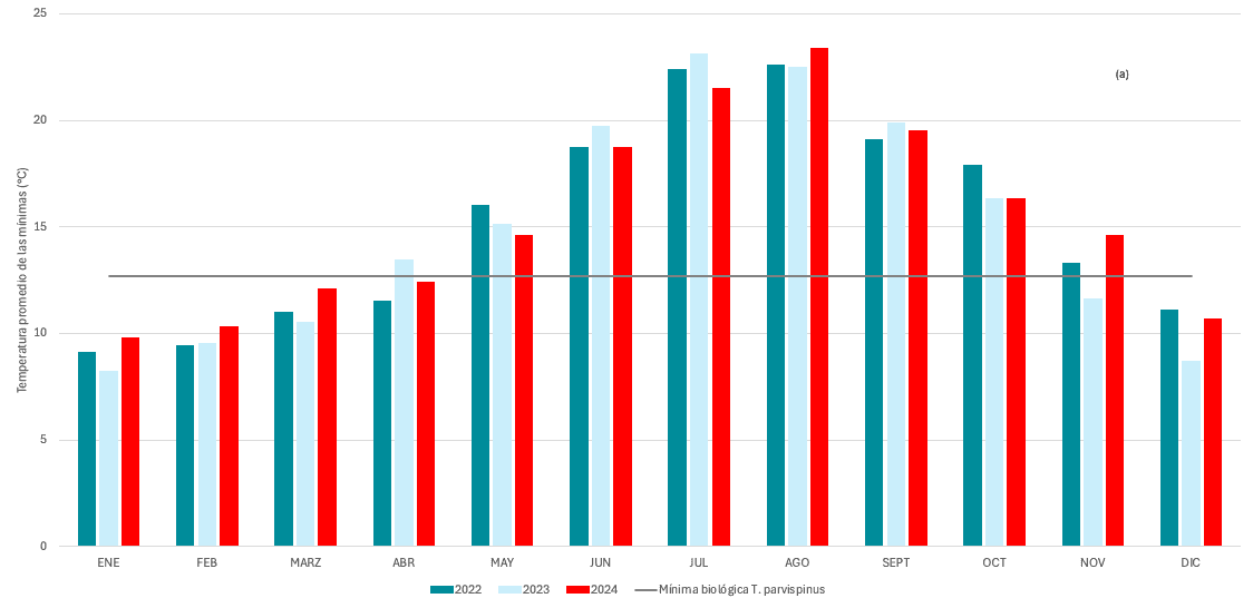 Temperatura media mensual durante los años 2022-2023 y 2024 (hasta el 15 diciembre 2024)