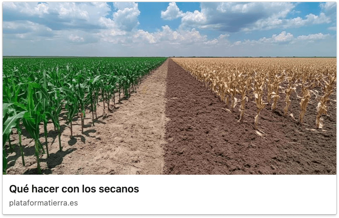 ¿Qué hacer con los secanos?