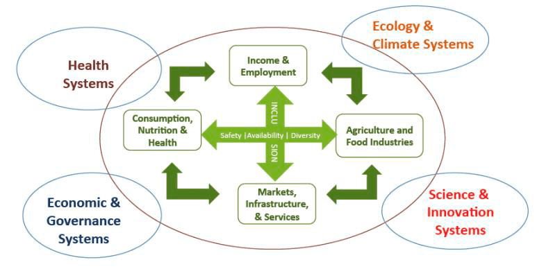 Interrelaciones entre agricultura, alimentación, crecimiento económico, medioambiente, clima y salud