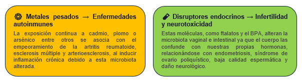 Efectos de metales pesados y disruptores endocrinos en la salud.