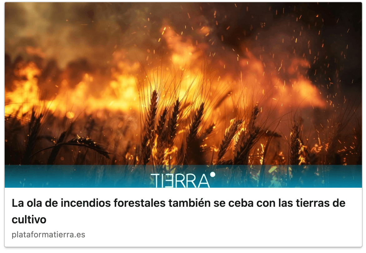 La ola de incendios forestales también se ceba con las tierras de cultivo