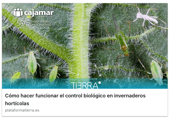 Cómo hacer funcionar el control biológico en invernaderos hortícolas