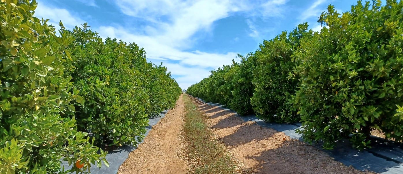 Imagen Congreso Agricultura