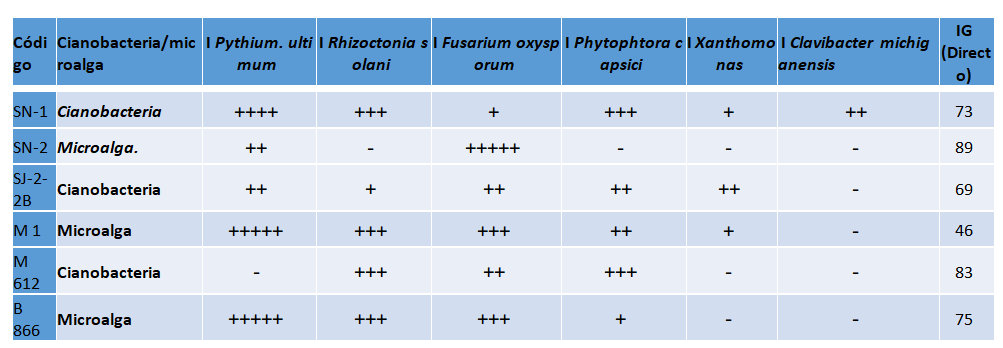 Incidencia sobre fitopatógenos: IG; Índice de germinación Se seleccionaron 3 cianobacterias y 3 microalgas verdes.