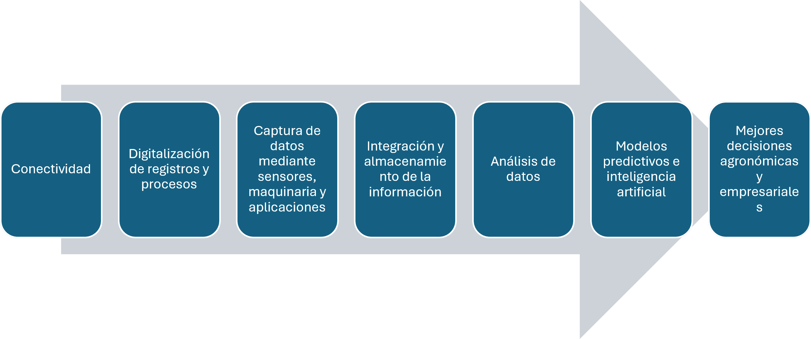 Infografia 1