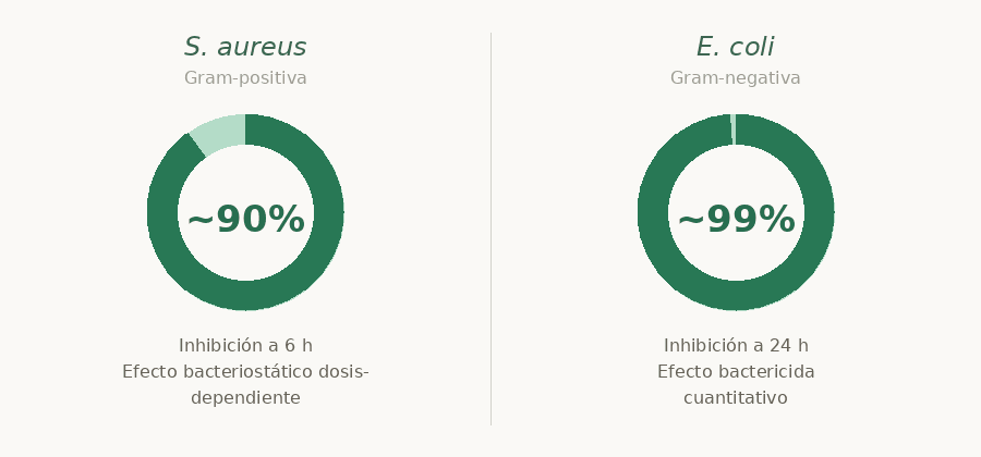 E. coli (gram-negativa) y S. aureus (gram-positiva).