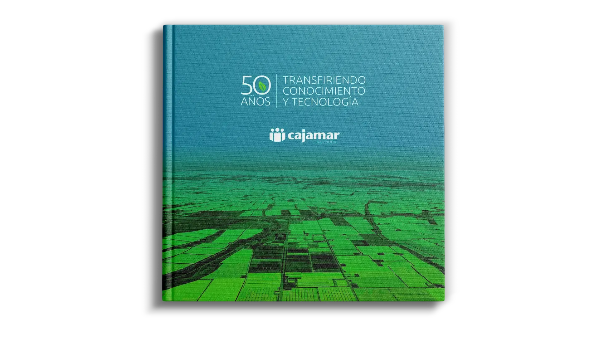 Libro 50 Aniversario Las Palmerillas