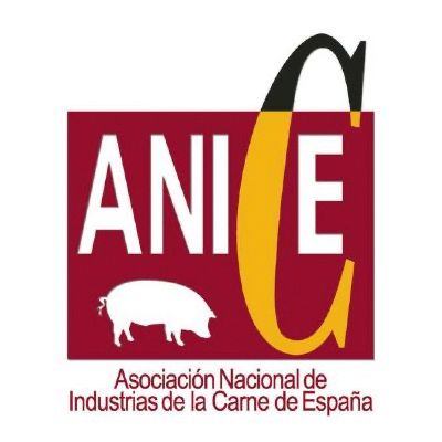 Logo de ANICE