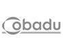 logo cobadu