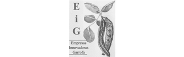 Logo EIG