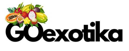 Logo del proyecto GOexotika - impulsando la innovación la diversificación y sostenibilidad de los cultivos de frutas exóticas en Andalucía