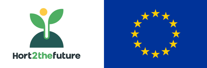 Logo hort2thefuture bandera ue