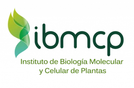 Logo de IBMCP Logo de IBMCP