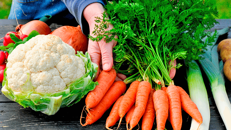 Verduras sobre una mesa al aire libre