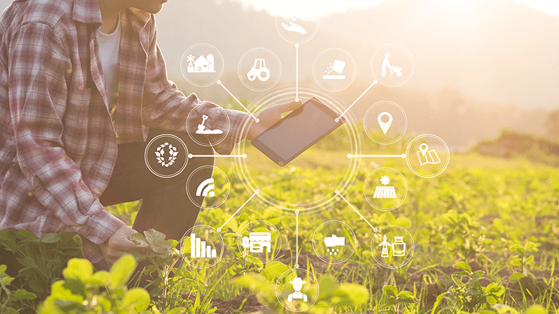 Agricultor manejando una tablet en una parcela