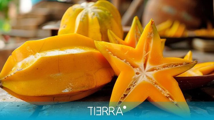 Carambola