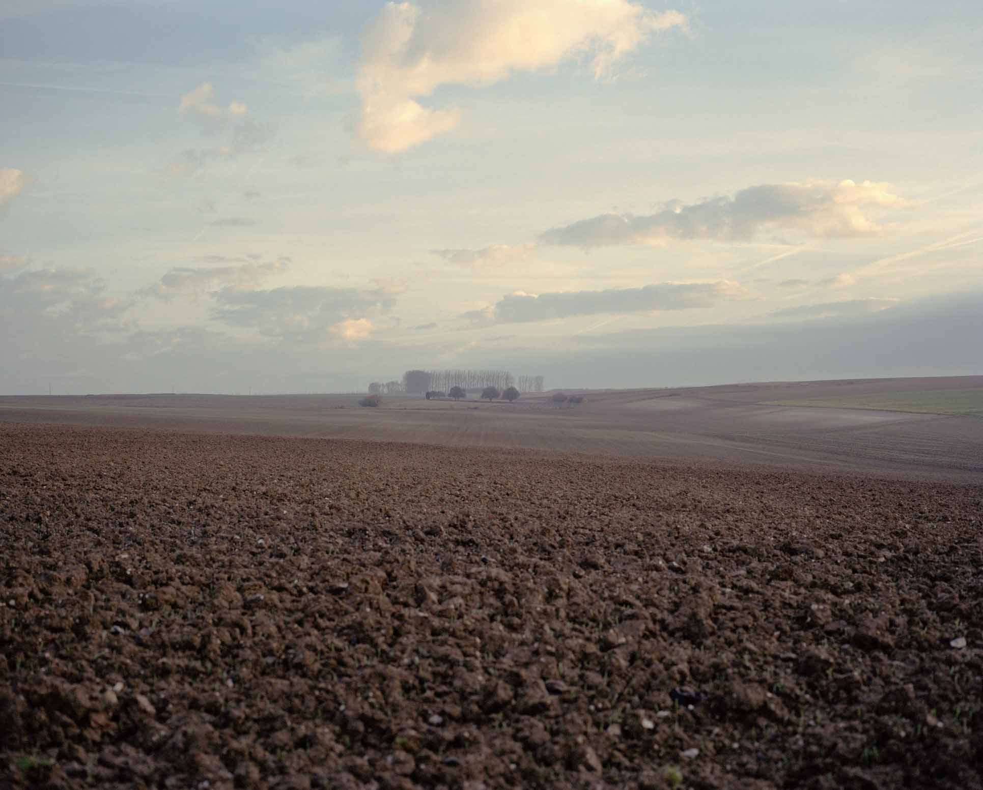 Imagen que representa el estudio del microbioma del suelo como oportunidad para mejorar la productividad, mejorar el secuestro de carbono o reforzar la inmune de las plantas