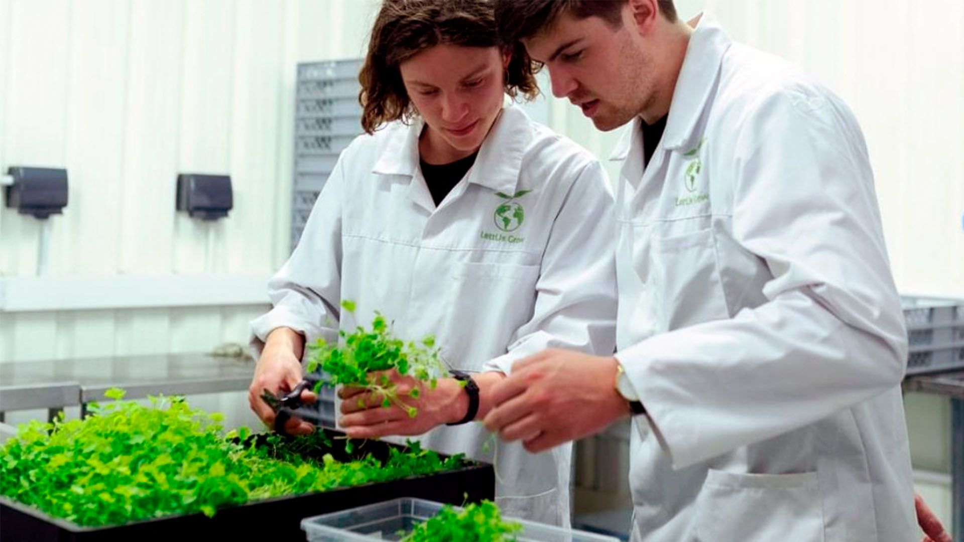 Bioproductos. Dos investigadores manipulando material vegetal en laboratorio