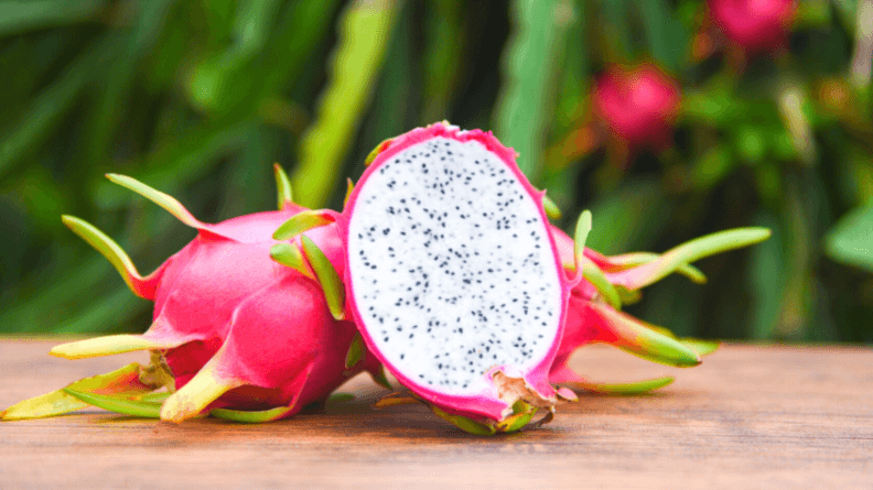 Fruta de la pitaya blanca abierta, fondo de la planta de la pitaya