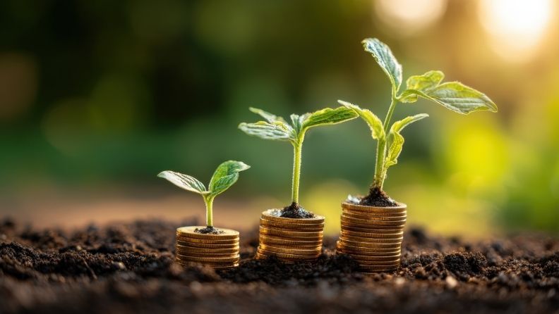 Plantas crecen sobre pilas de monedas en la tierra, simbolizando crecimiento financiero.